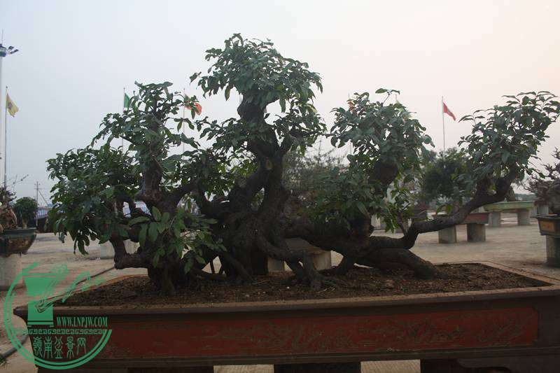 Ƭ20131026ۺ 2605.jpg