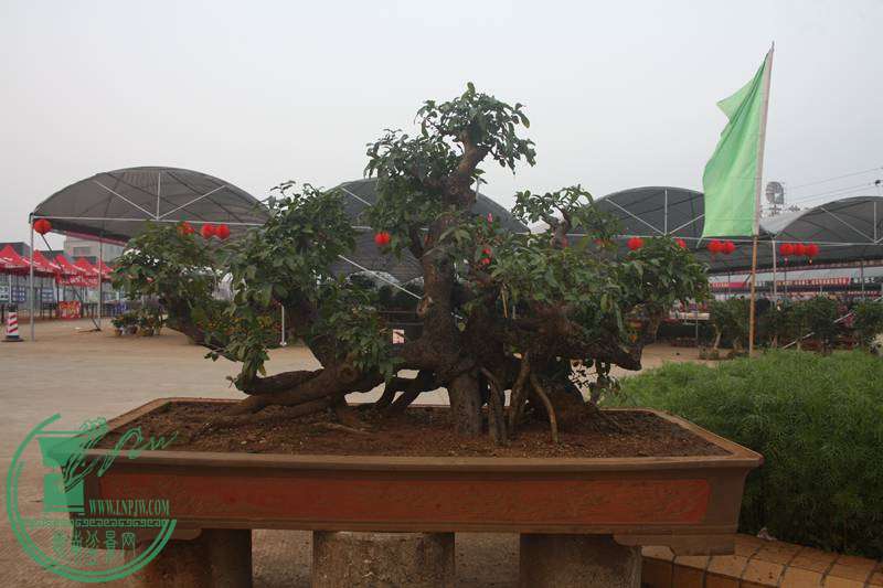 Ƭ20131026ۺ 2607.jpg
