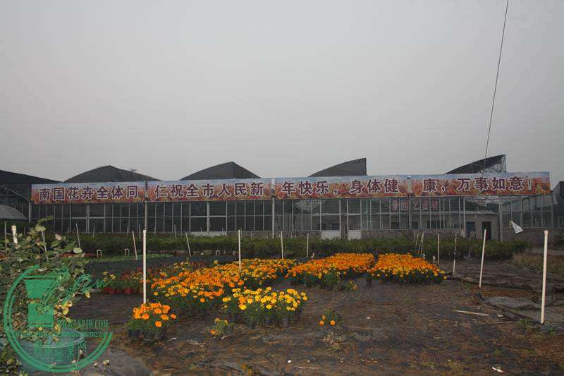 Ƭ20131026ۺ 2640.jpg