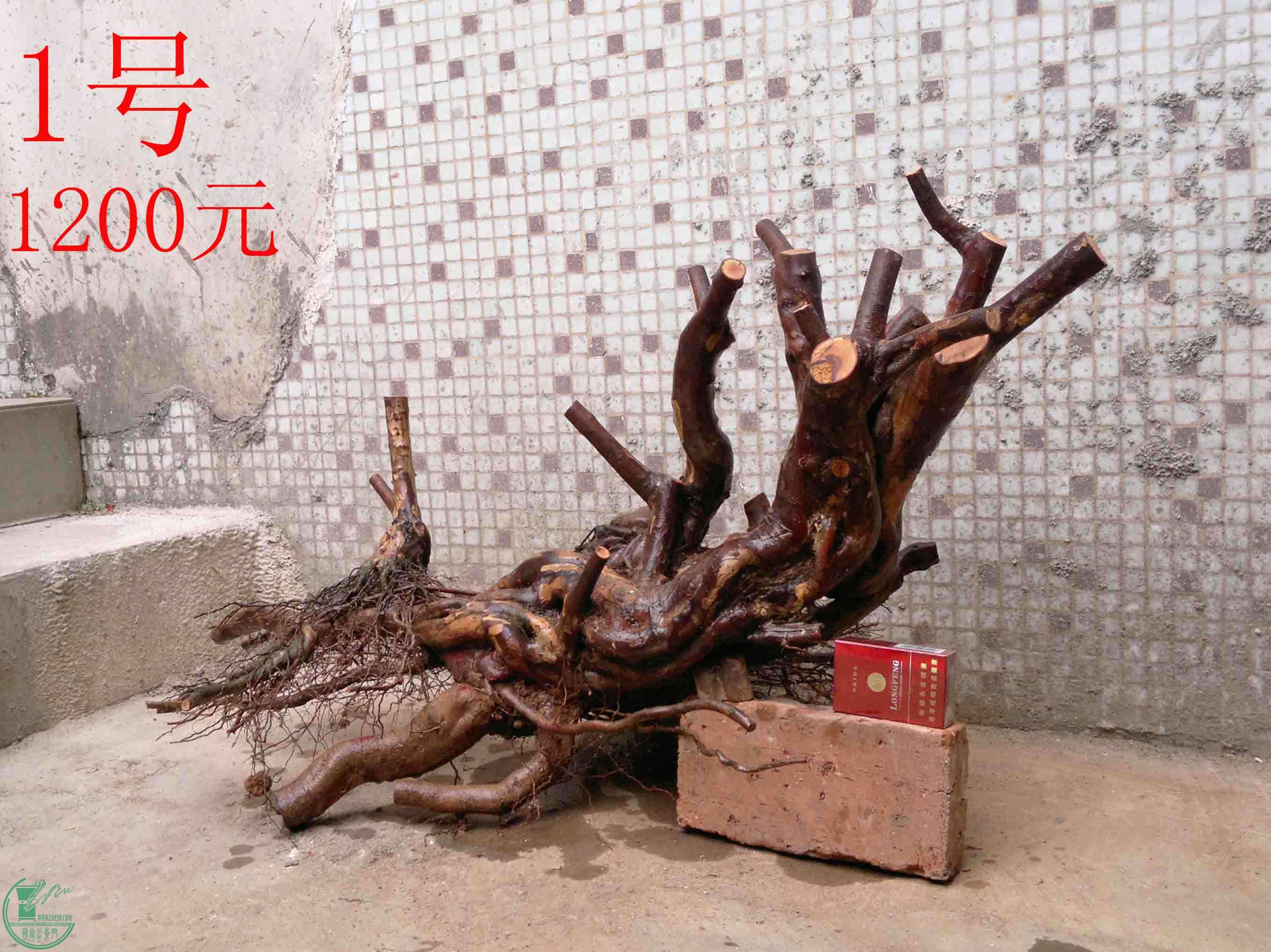201502142089.jpg