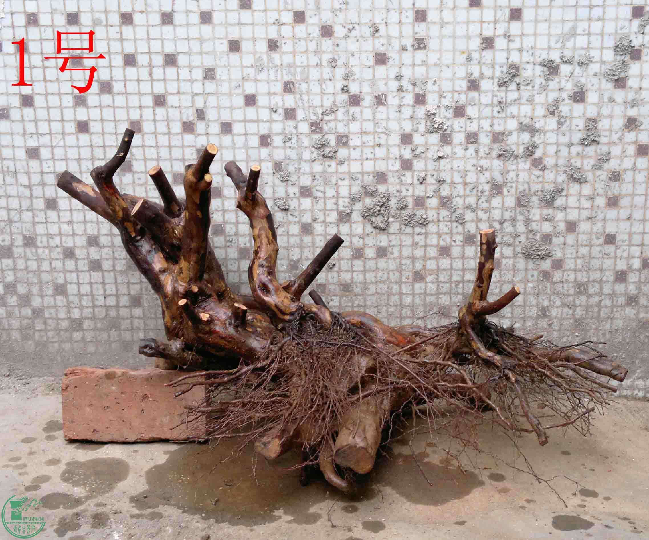 201502142102.jpg