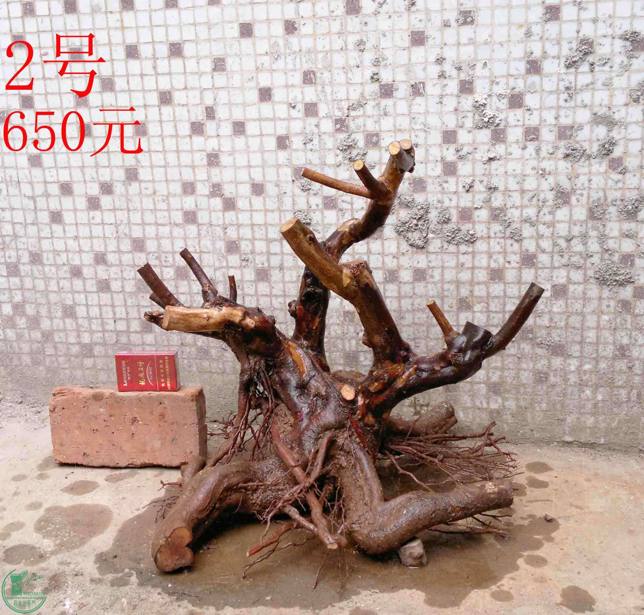 201502142107.jpg