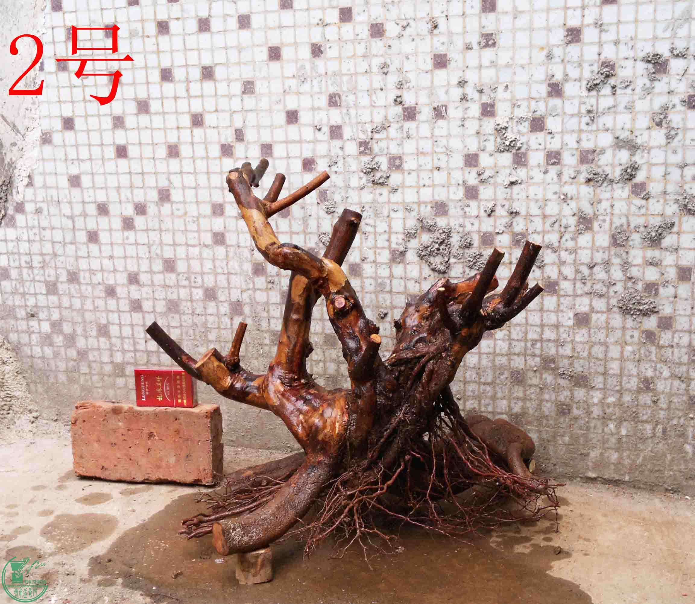 201502142112.jpg