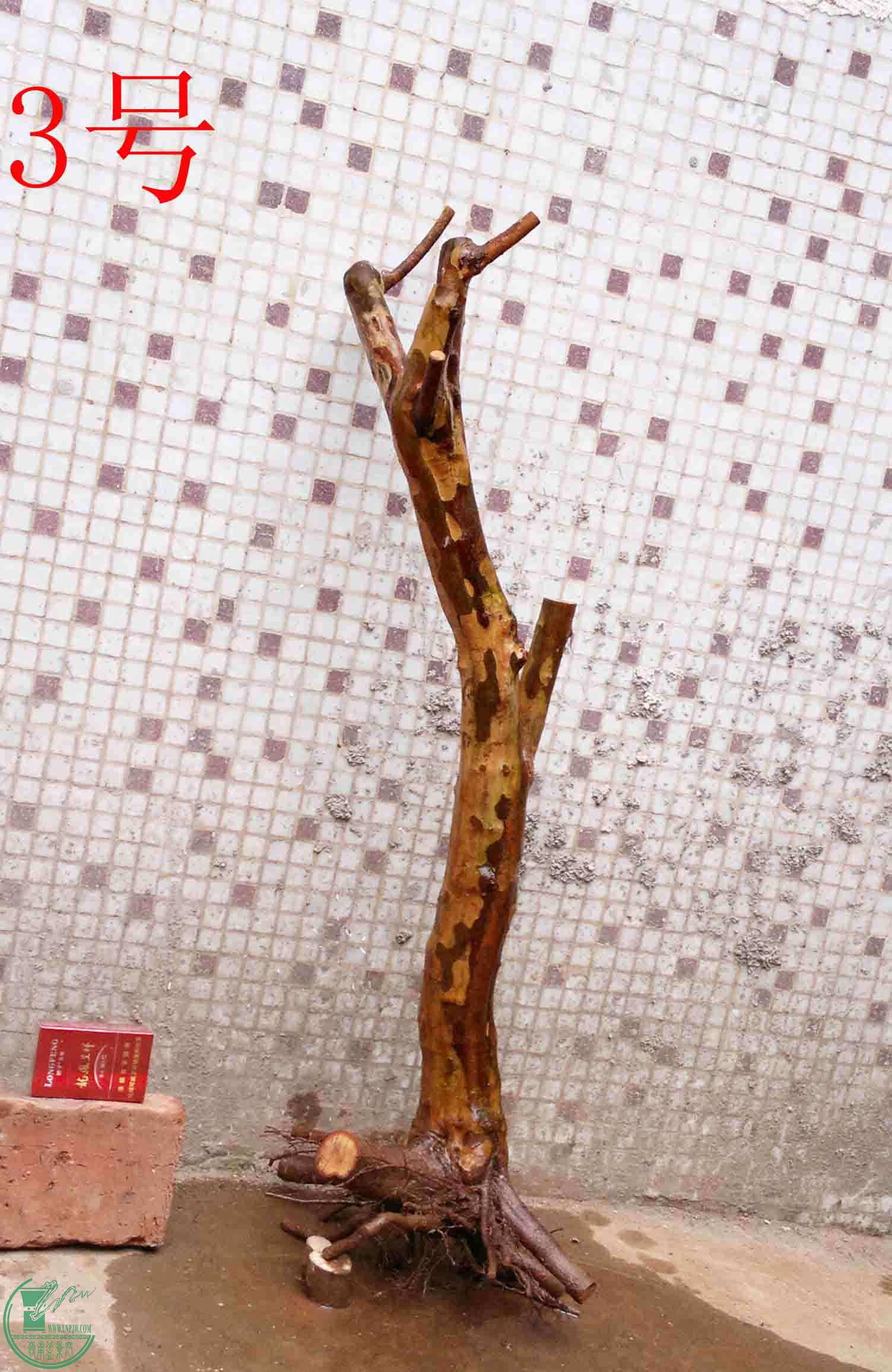 201502142123.jpg