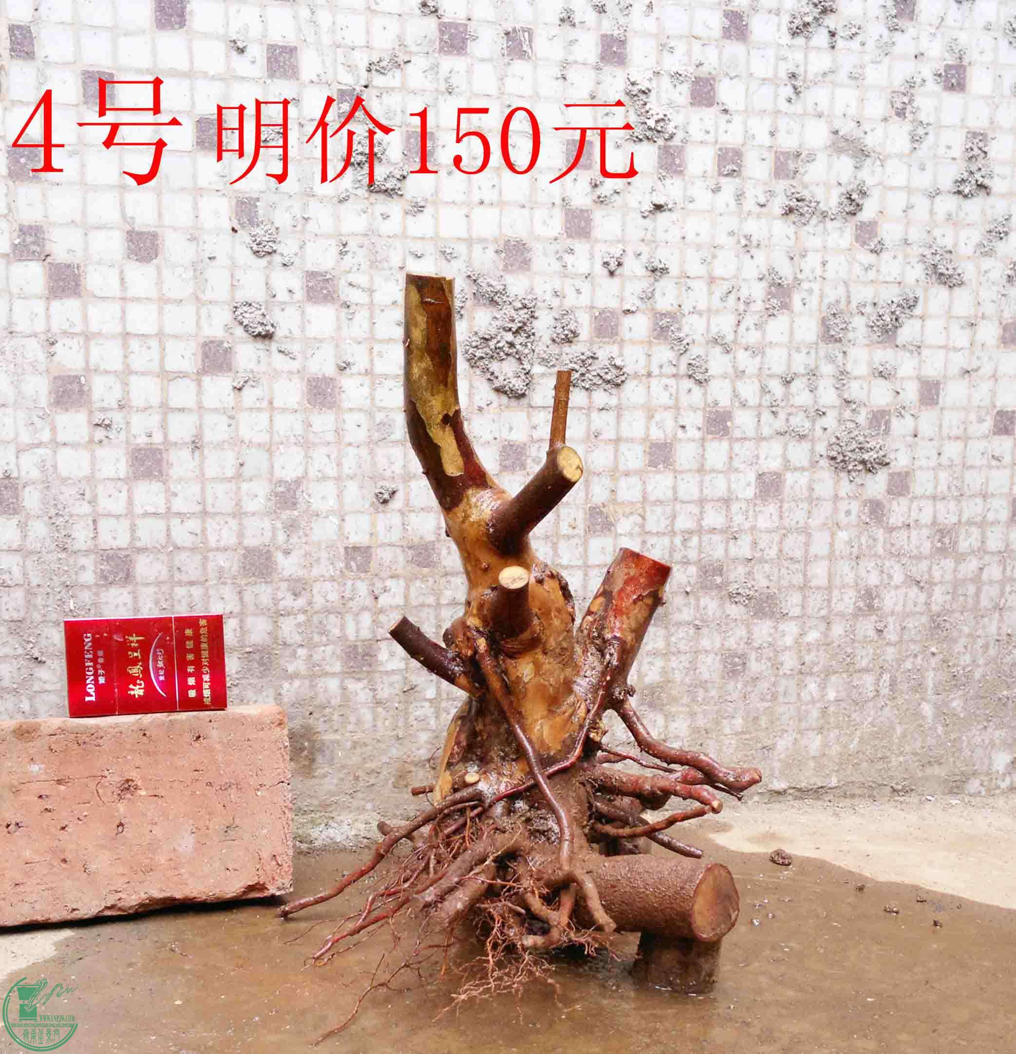 201502142128.jpg