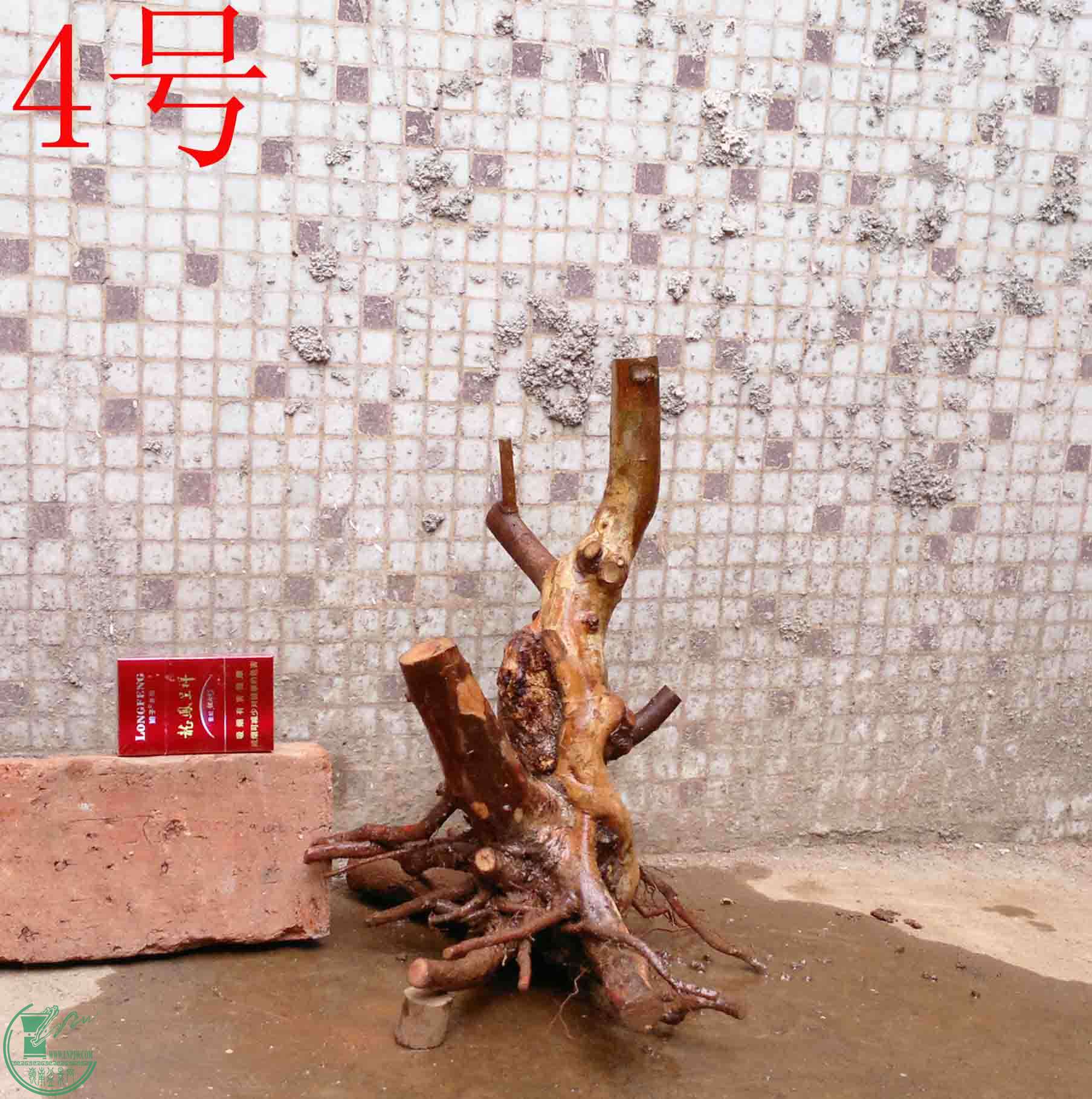 201502142131.jpg