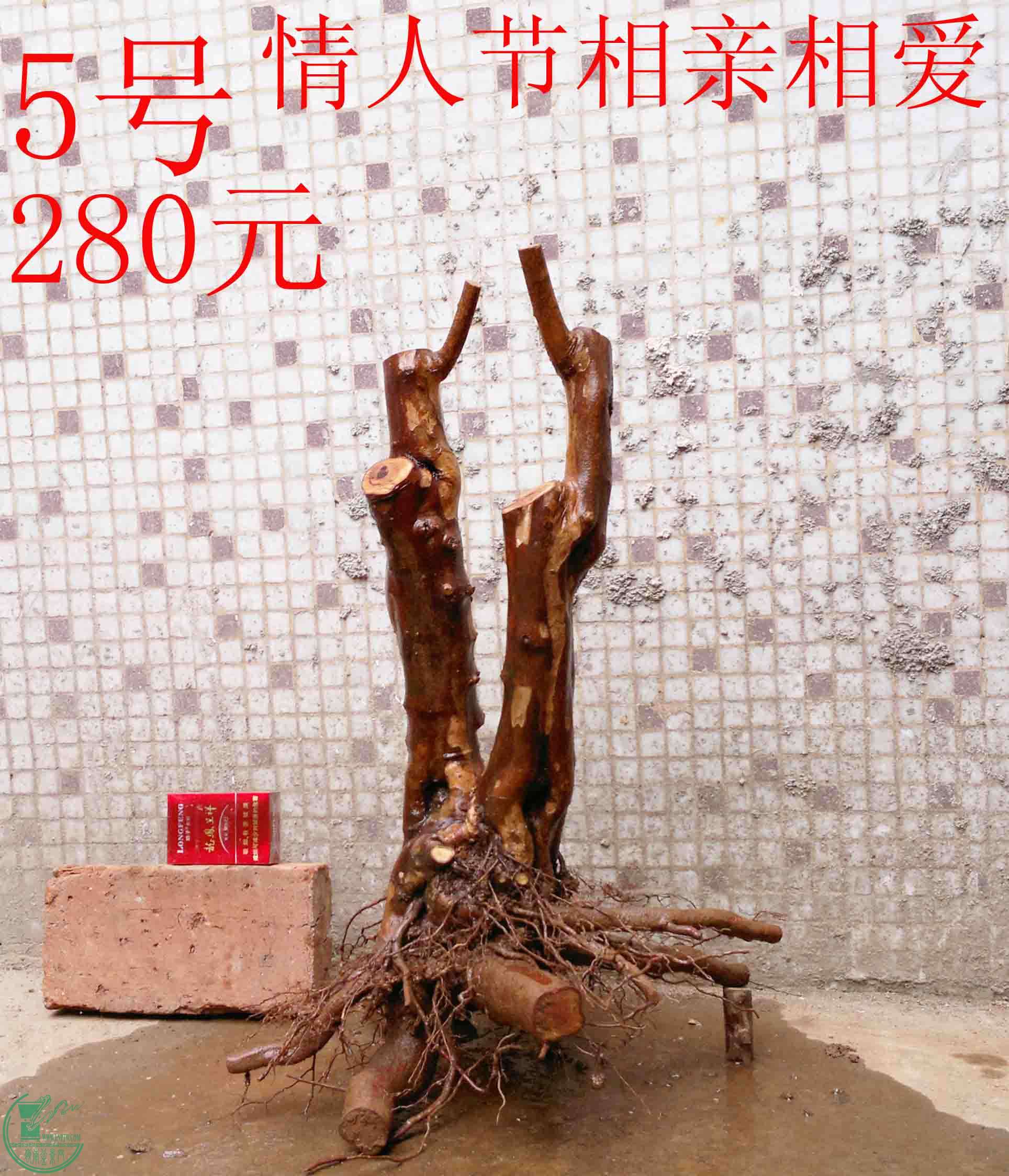 201502142138.jpg