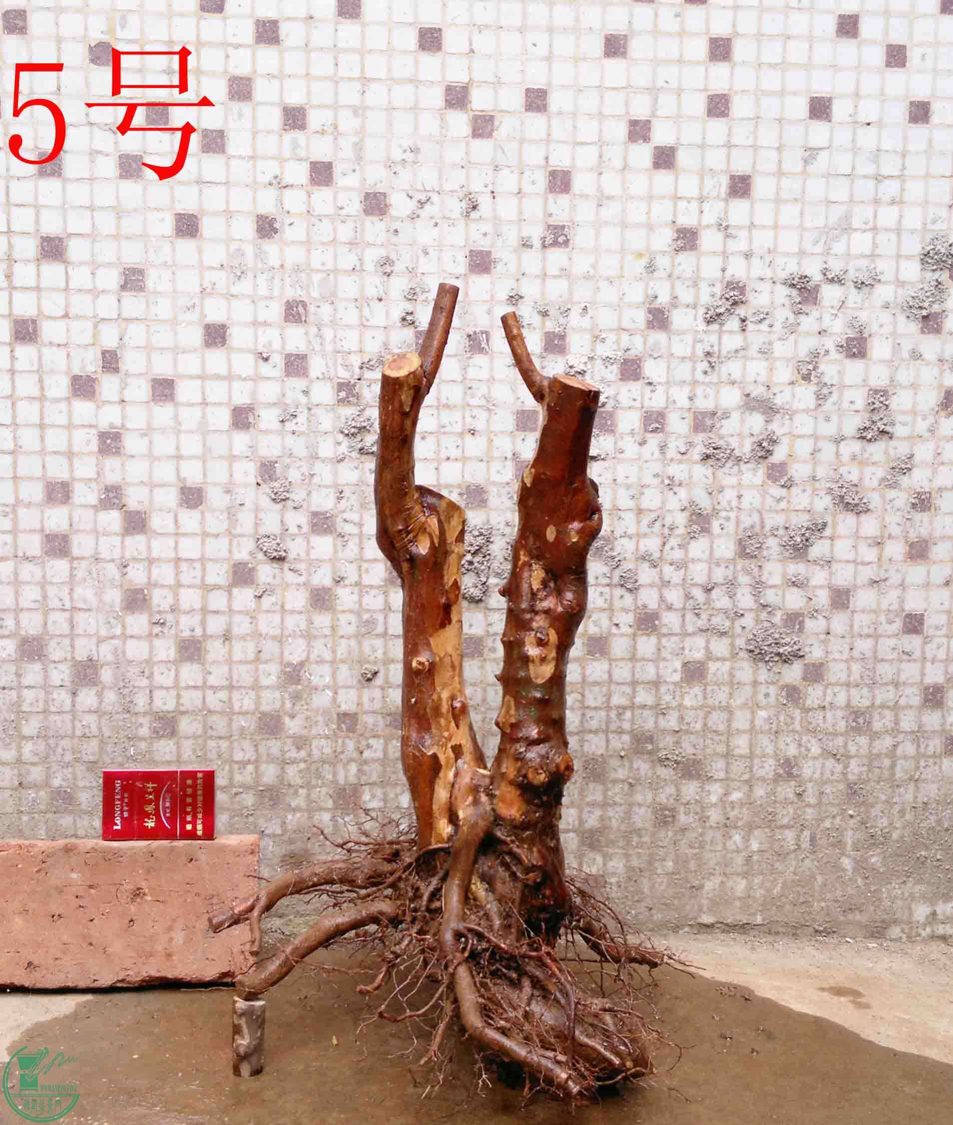 201502142141.jpg