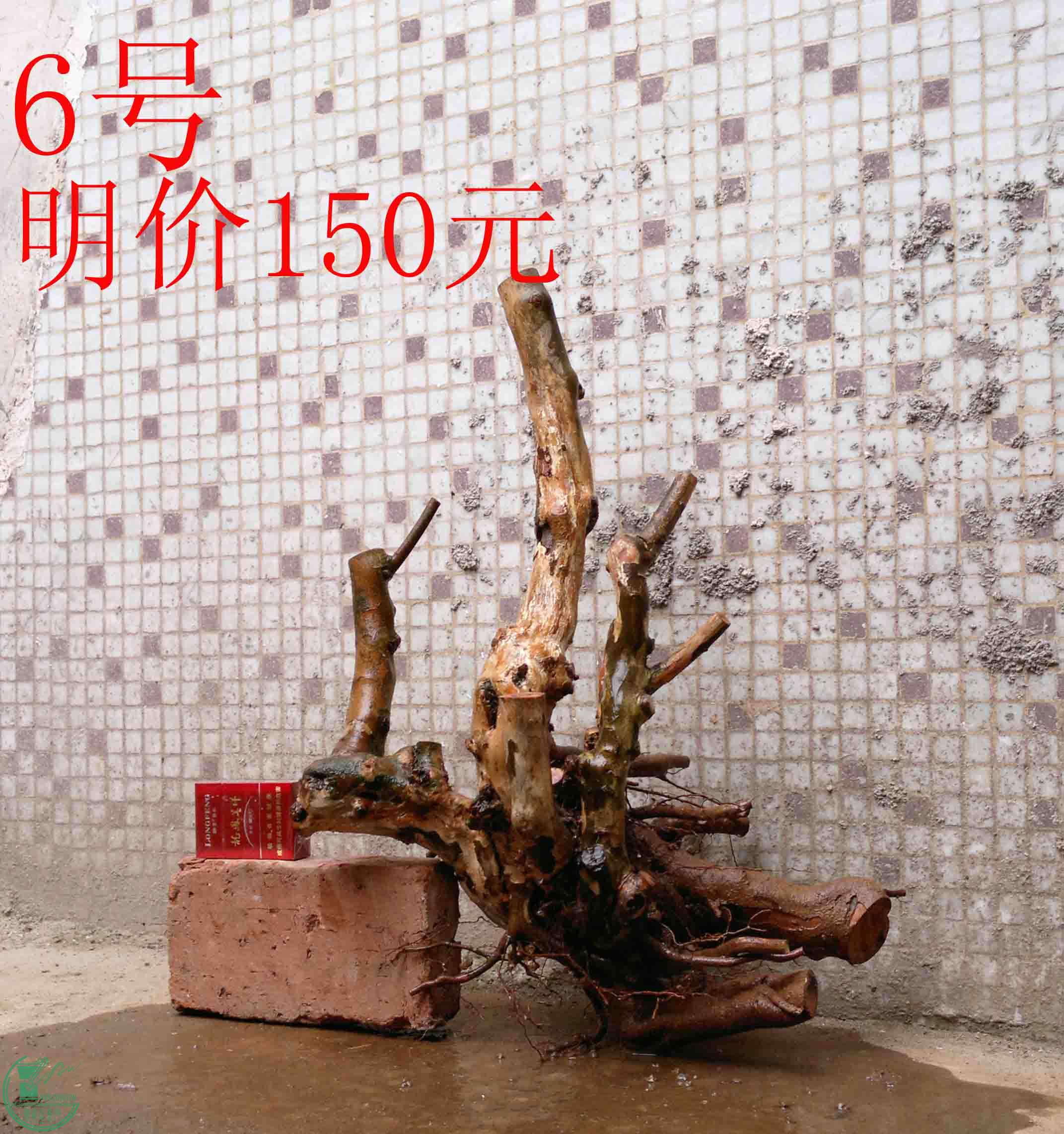 201502142148.jpg