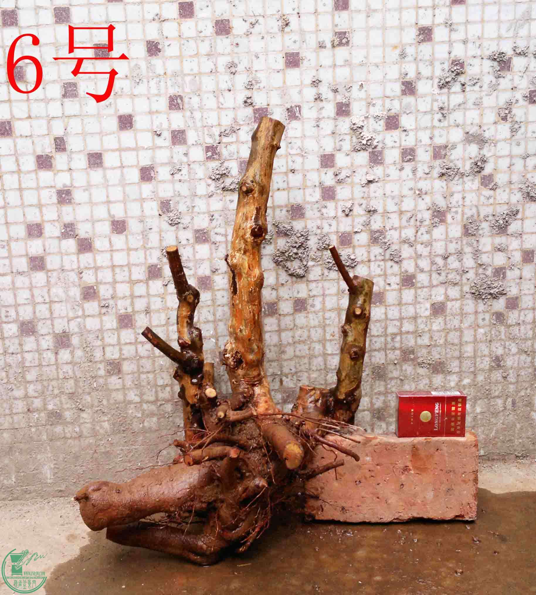 201502142149.jpg