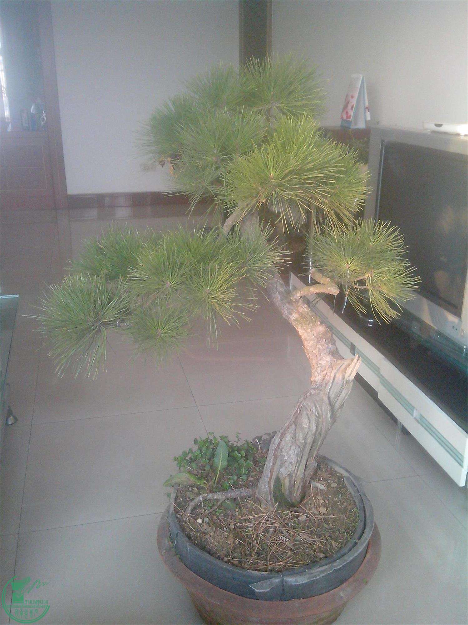 IMG20150213004.jpg
