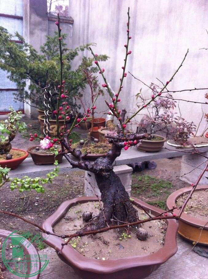 QQͼƬ20150215103730.jpg