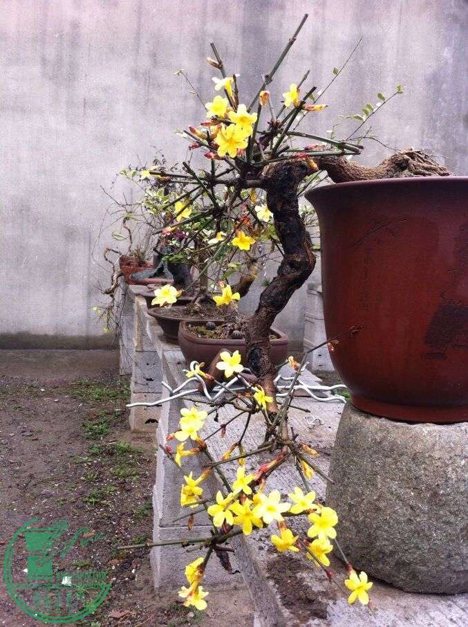 QQͼƬ20150215104030.jpg