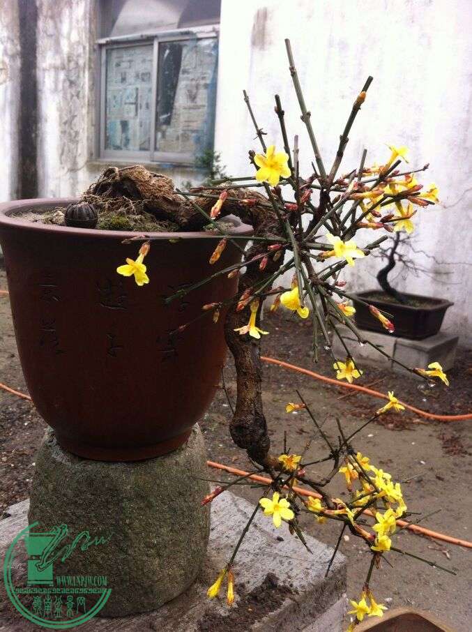 QQͼƬ20150215104041.jpg