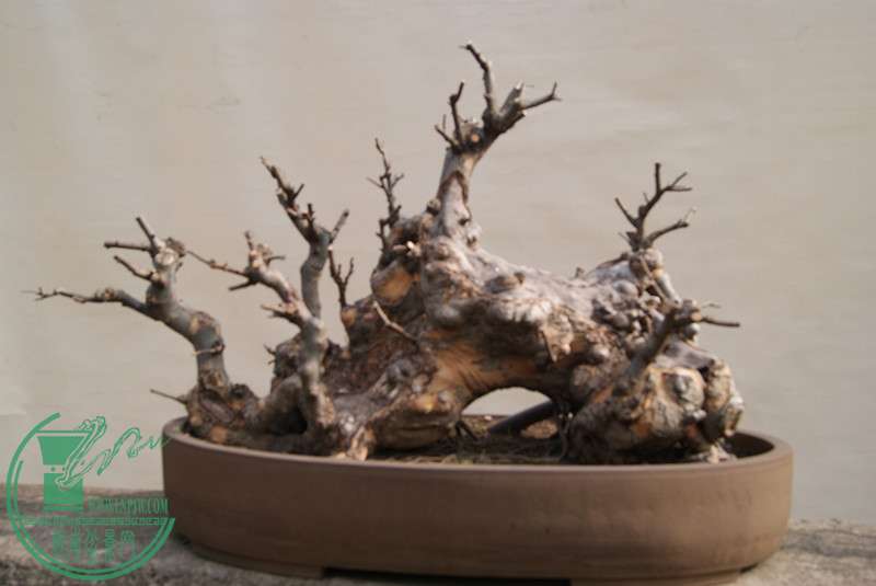 ޼-5.jpg