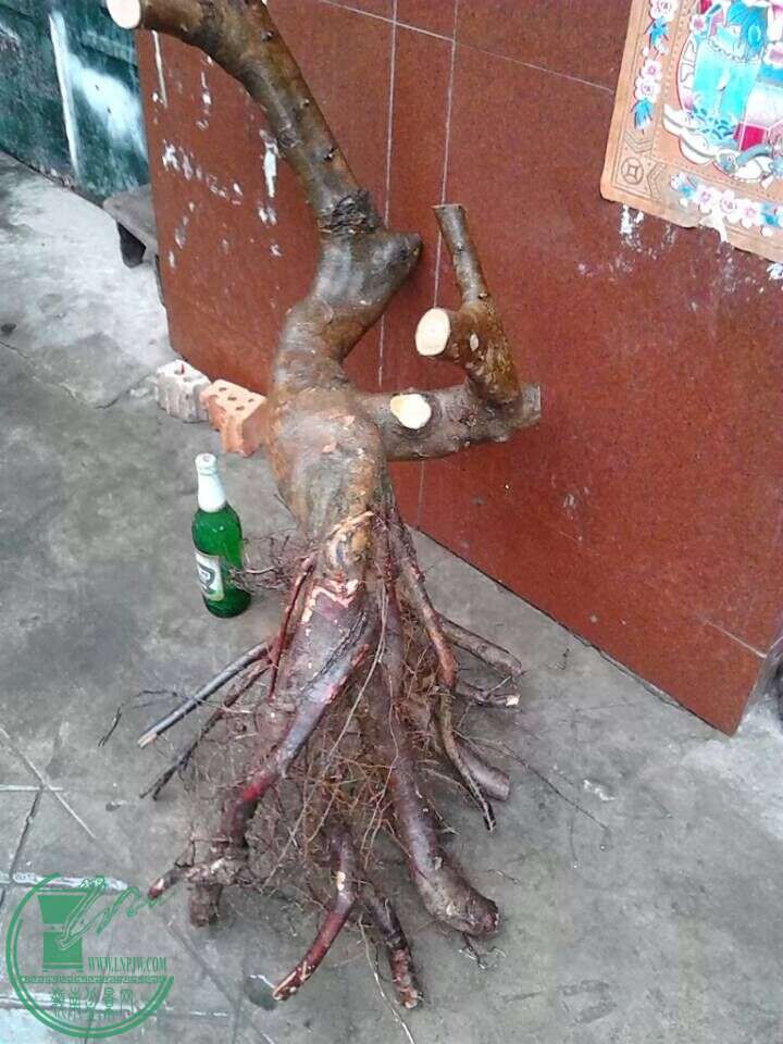 QQͼƬ20150215202440.jpg
