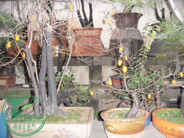 С SDC14134.JPG