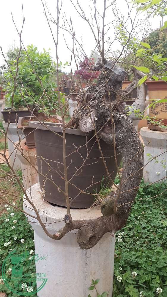 20140401_172248.jpg