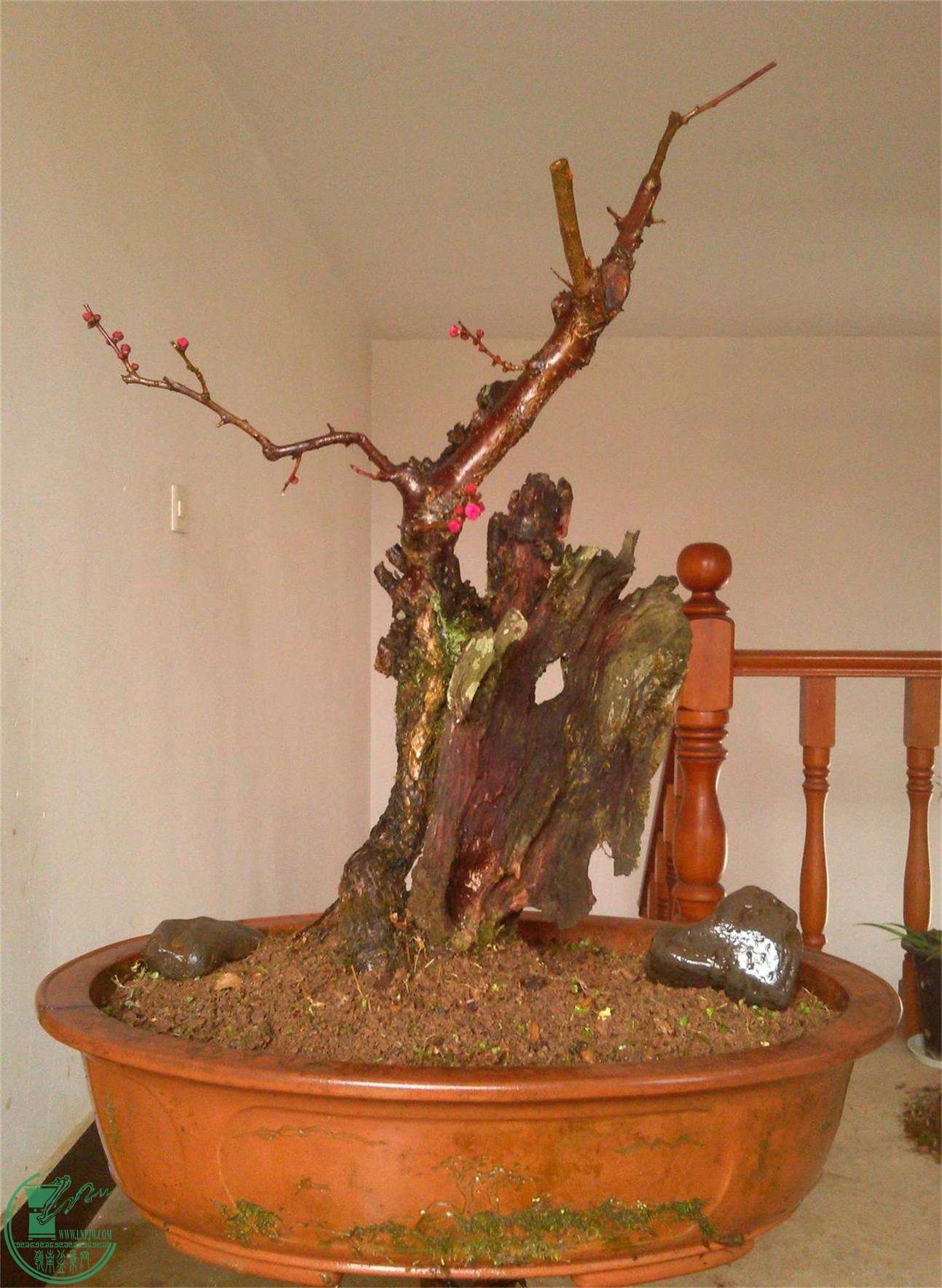 ÷׮13IMG_20150216_141859_2345ͼ_ͼ.jpg