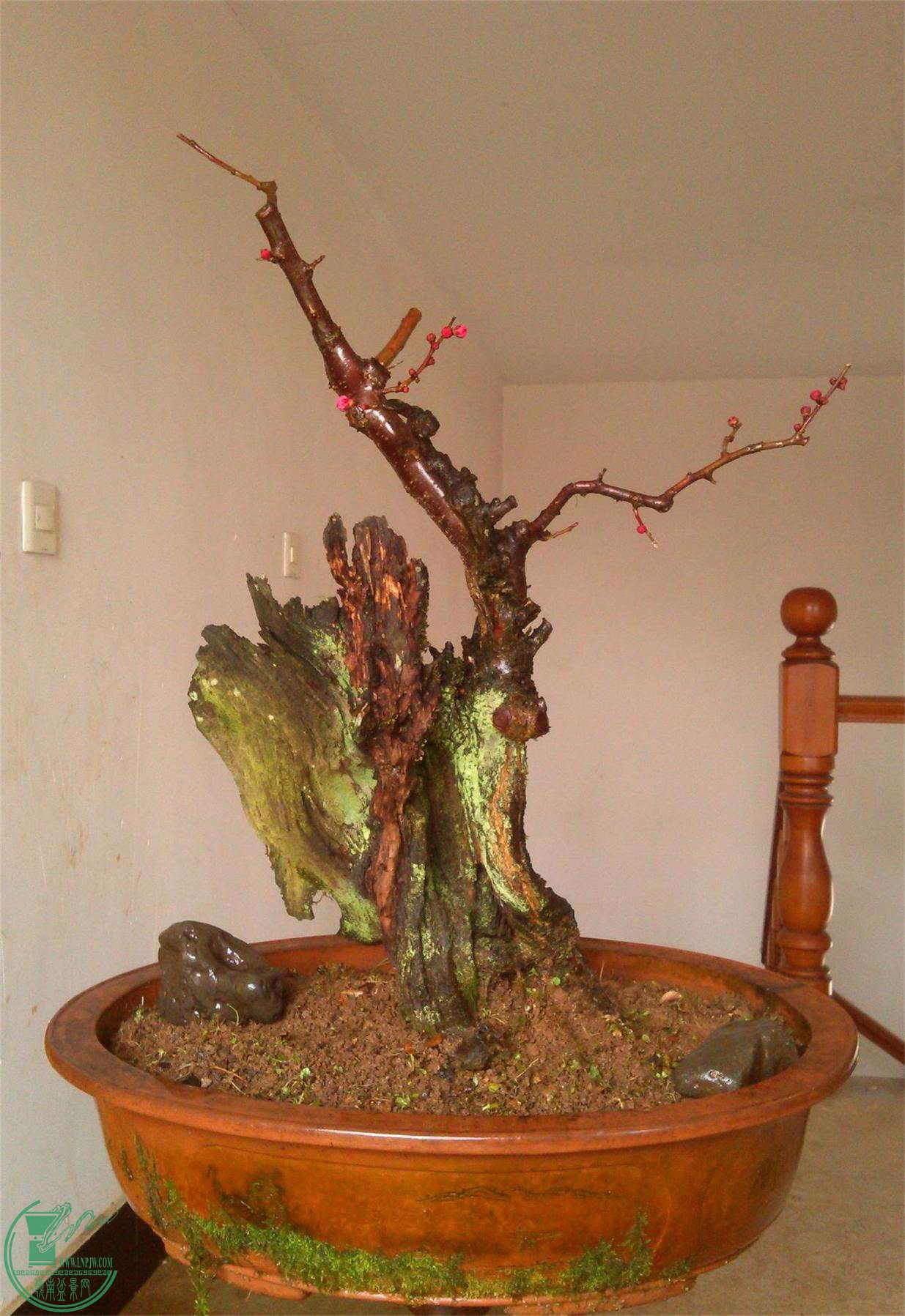 ÷׮14IMG_20150216_141918_2345ͼ_ͼ.jpg