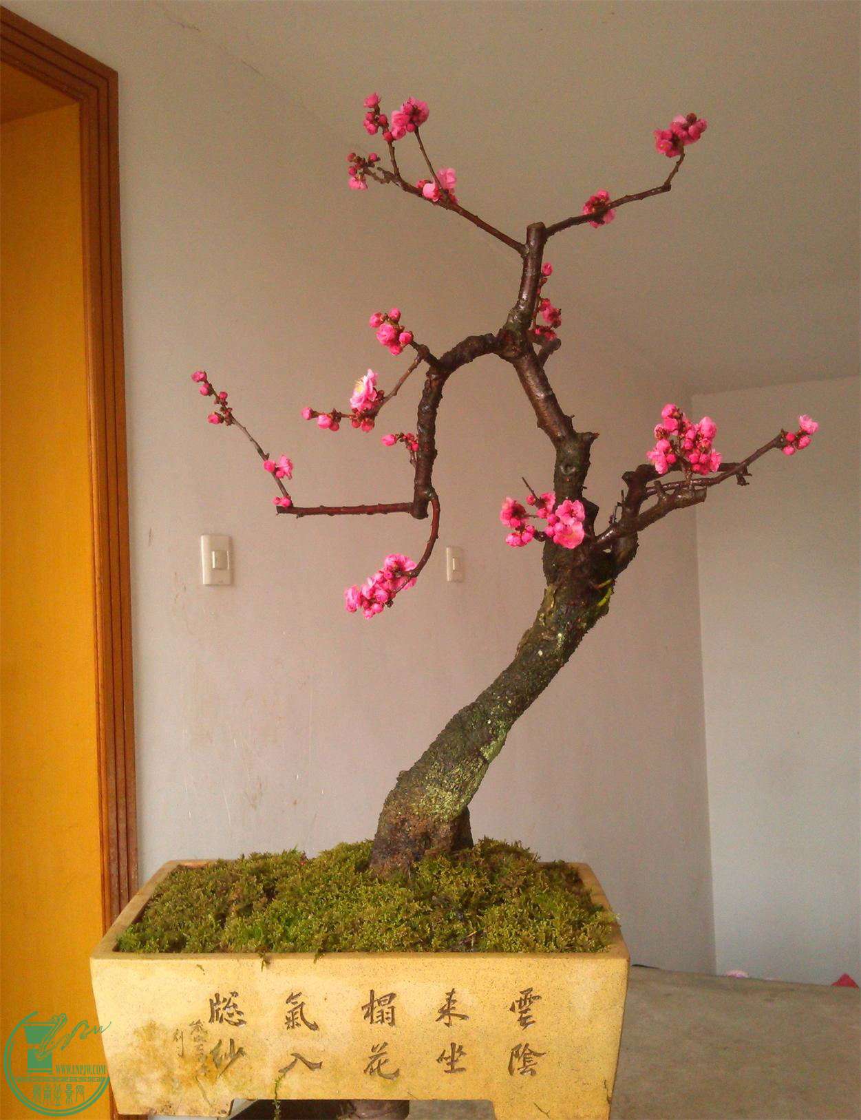 ÷׮72IMG_20150216_140431_2345ͼ_ͼ.jpg