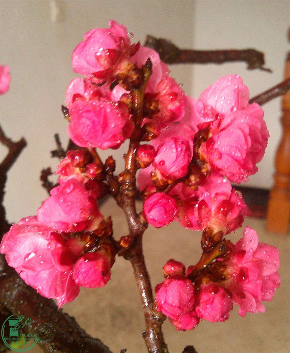 ÷׮76IMG_20150216_140441_2345ͼ_ͼ.jpg
