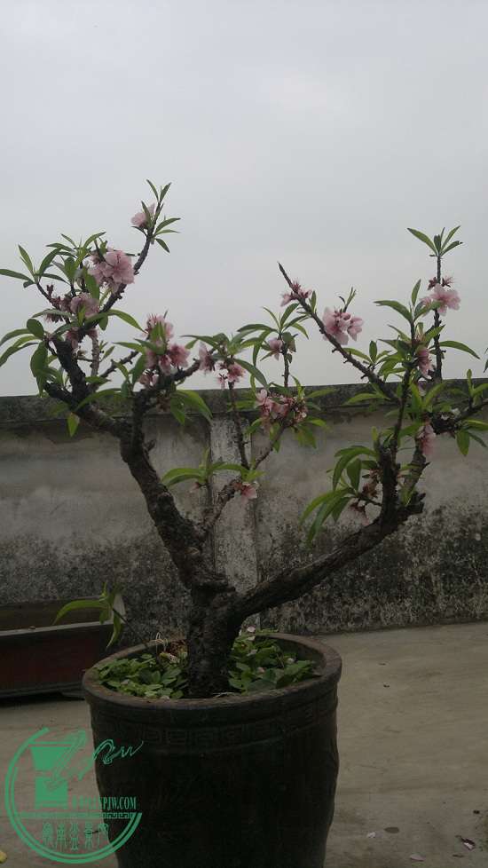 201502171812.jpg