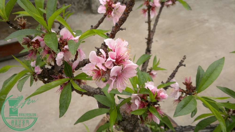 201502171813.jpg