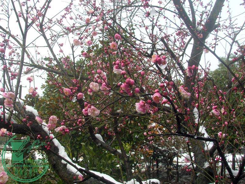 DSCN6799.JPG