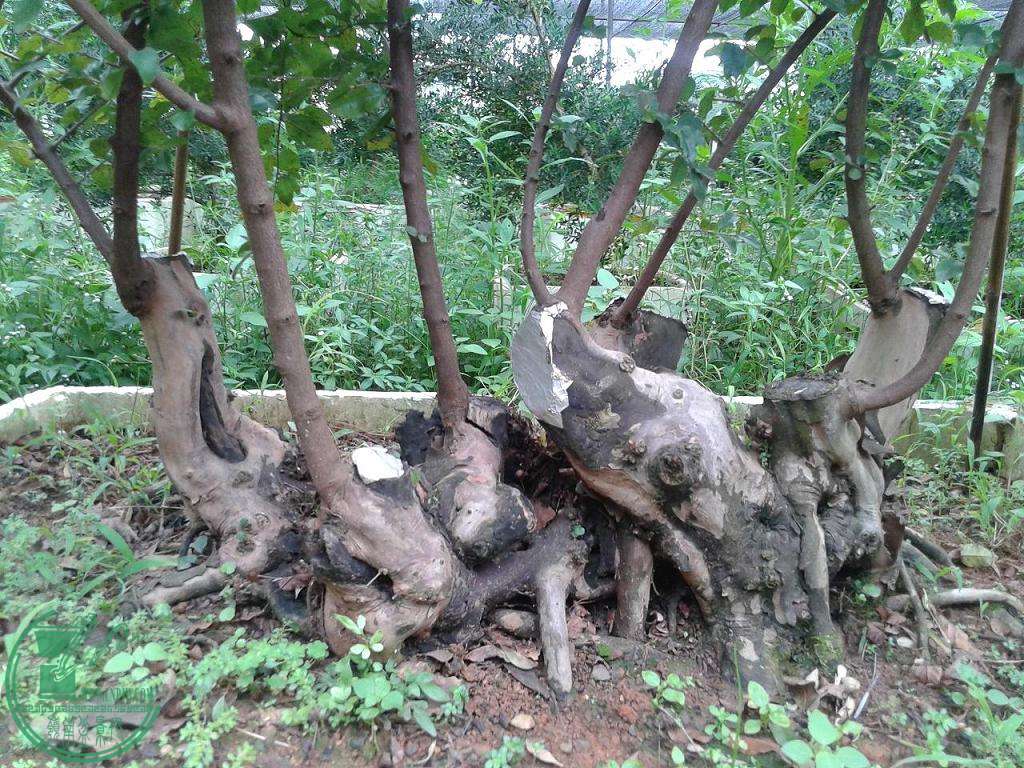 20140820_172312.jpg