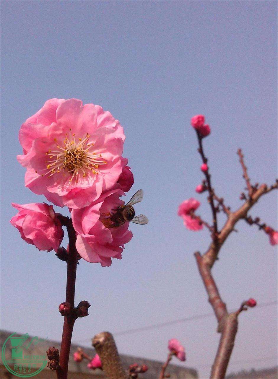 ÷׮14IMG_20150218_134442_2345ͼ_ͼ.jpg