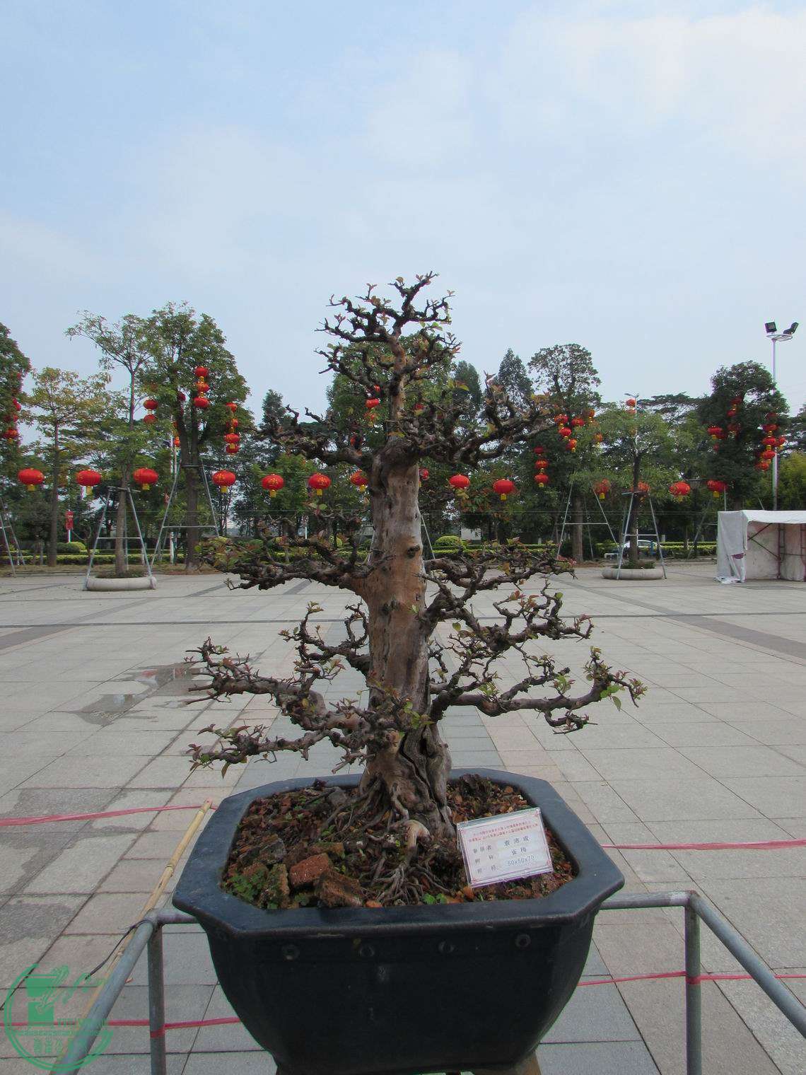 С IMG_0476.JPG