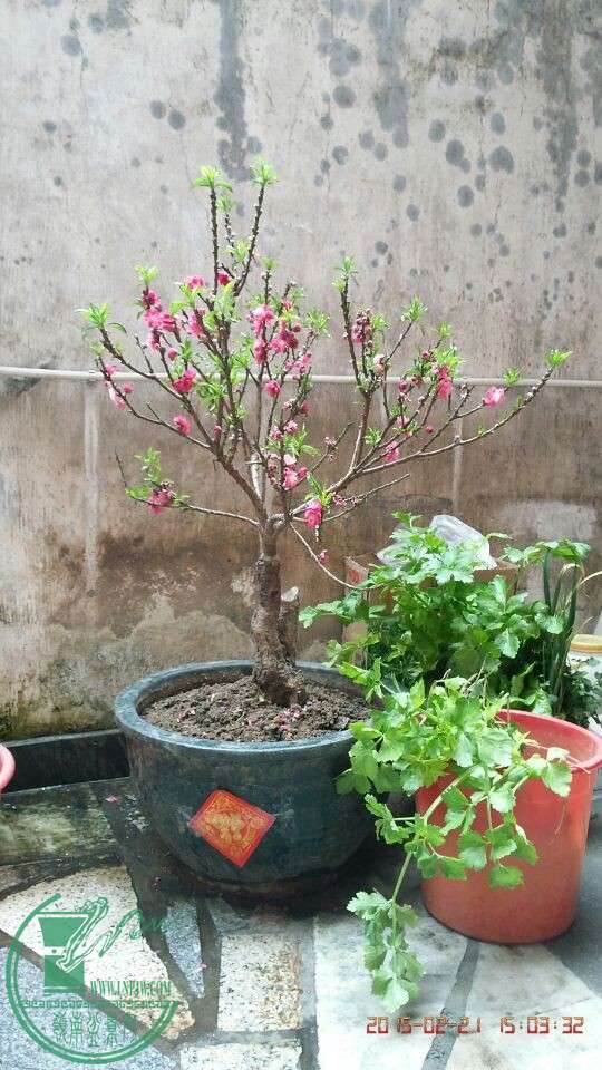 QQͼƬ20150221170345.jpg