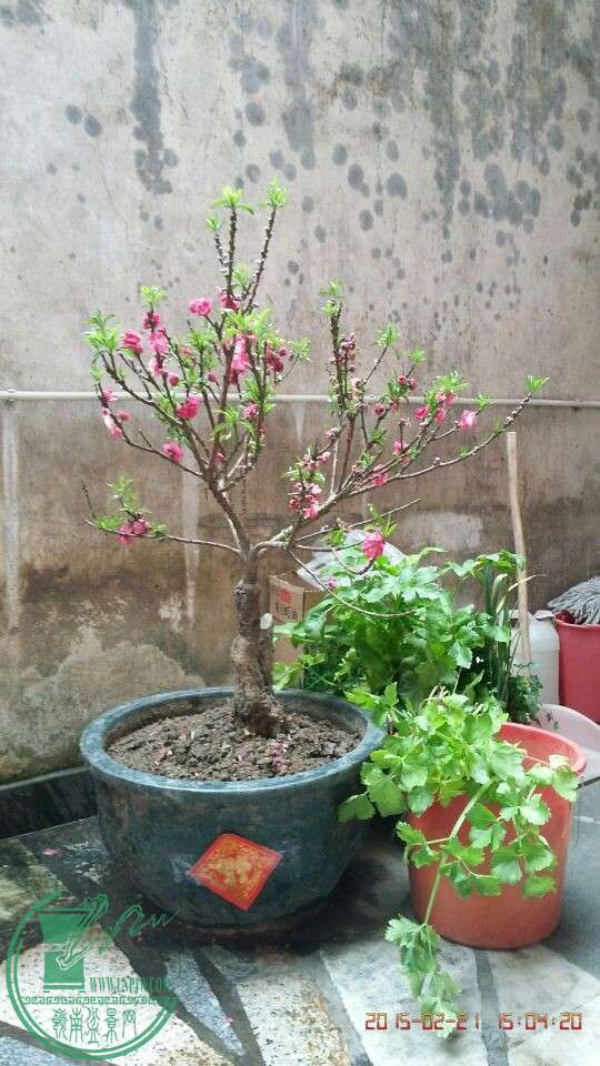 QQͼƬ20150221170356.jpg
