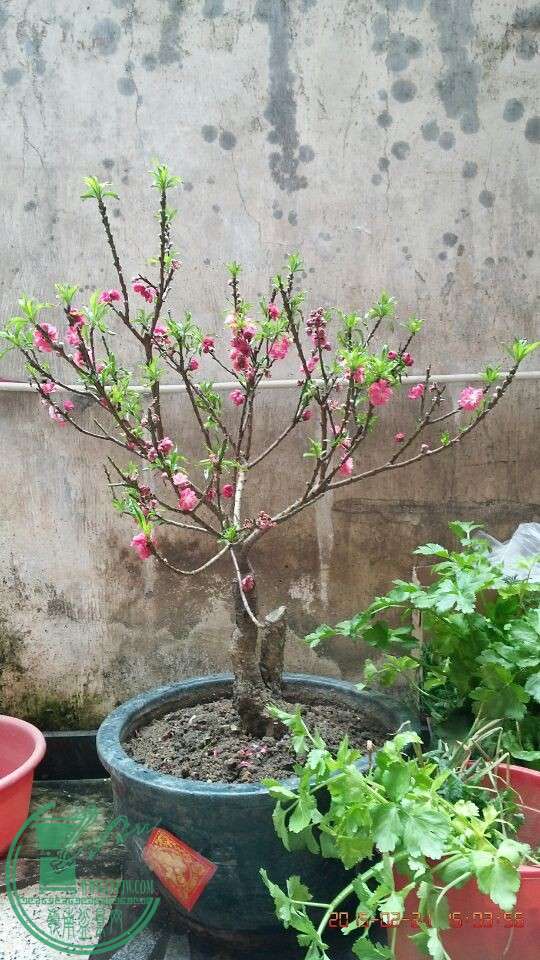 QQͼƬ20150221170402.jpg