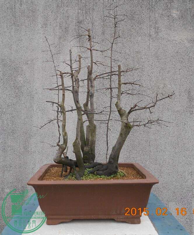 28ظѻ׮5.jpg