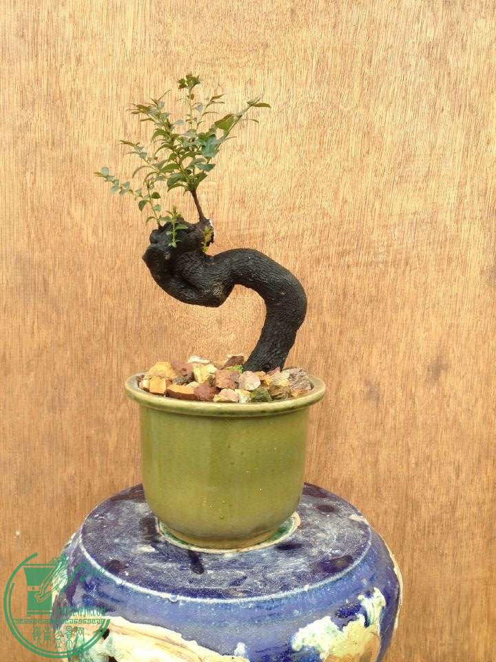 QQͼƬ20150218122059.jpg