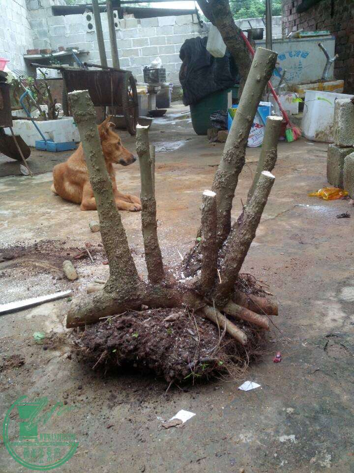 QQͼƬ20150218215949.jpg