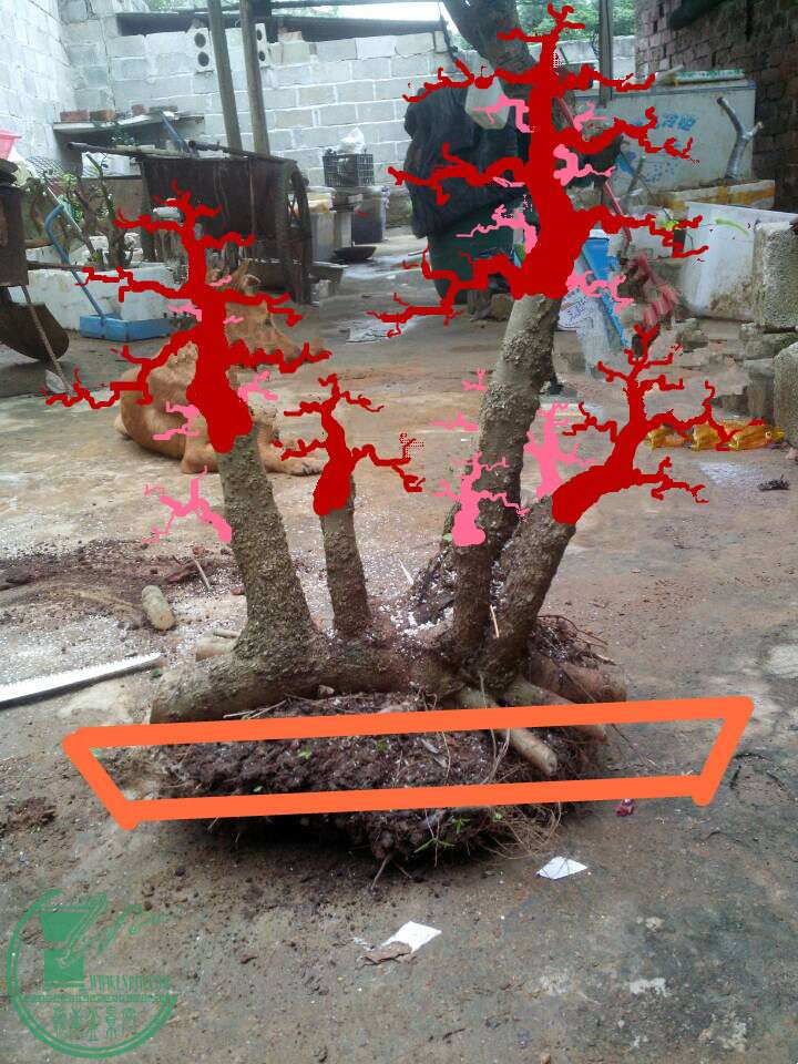 QQͼƬ20150218215949___.jpg