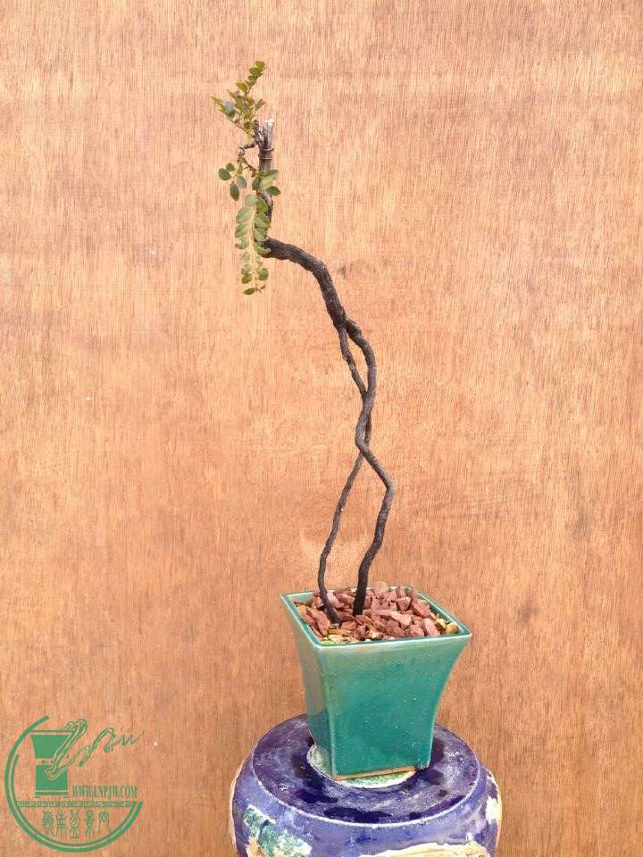 QQͼƬ20150217191749.jpg