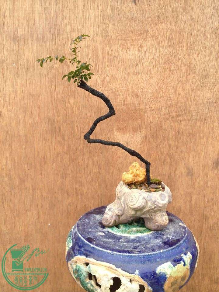 QQͼƬ20150218122223.jpg