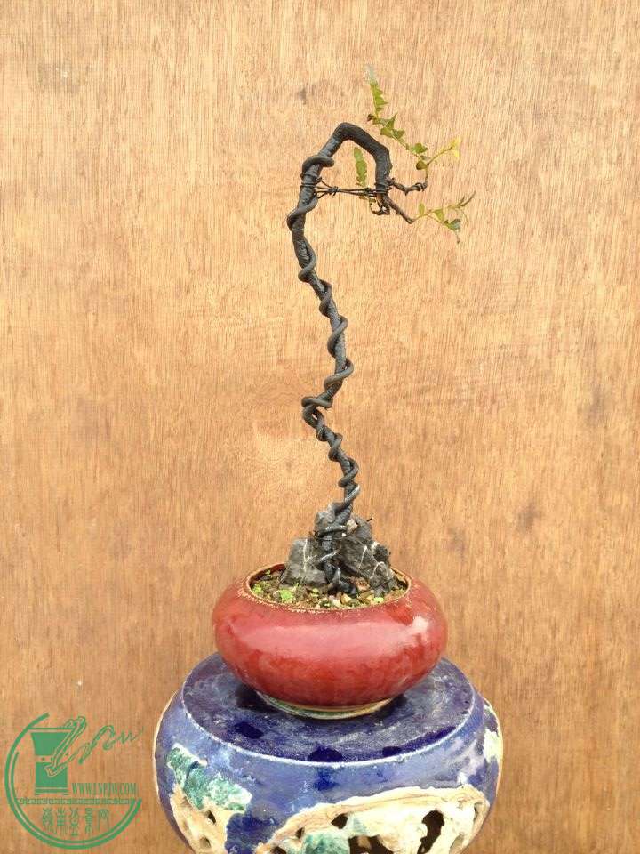 QQͼƬ20150217191719.jpg