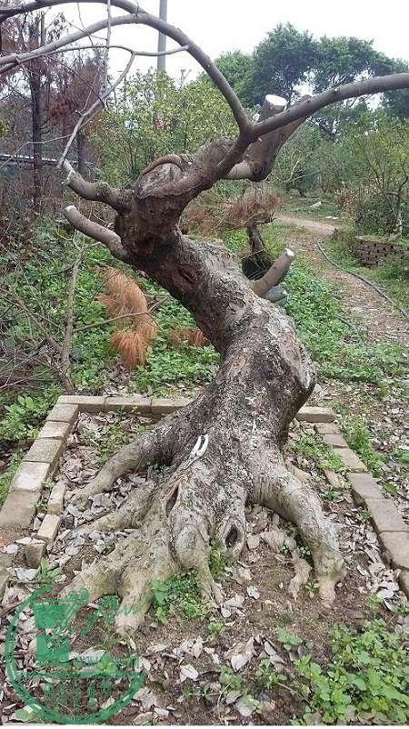 20150224_105257.jpg