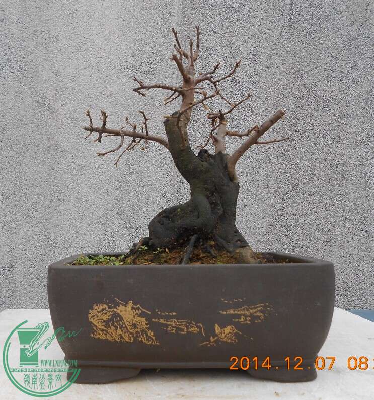 05ڹСѻ2.jpg