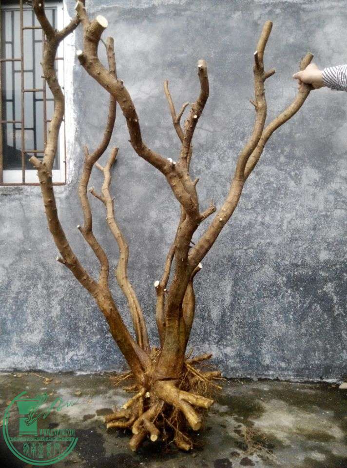 QQͼƬ20150224202244.jpg