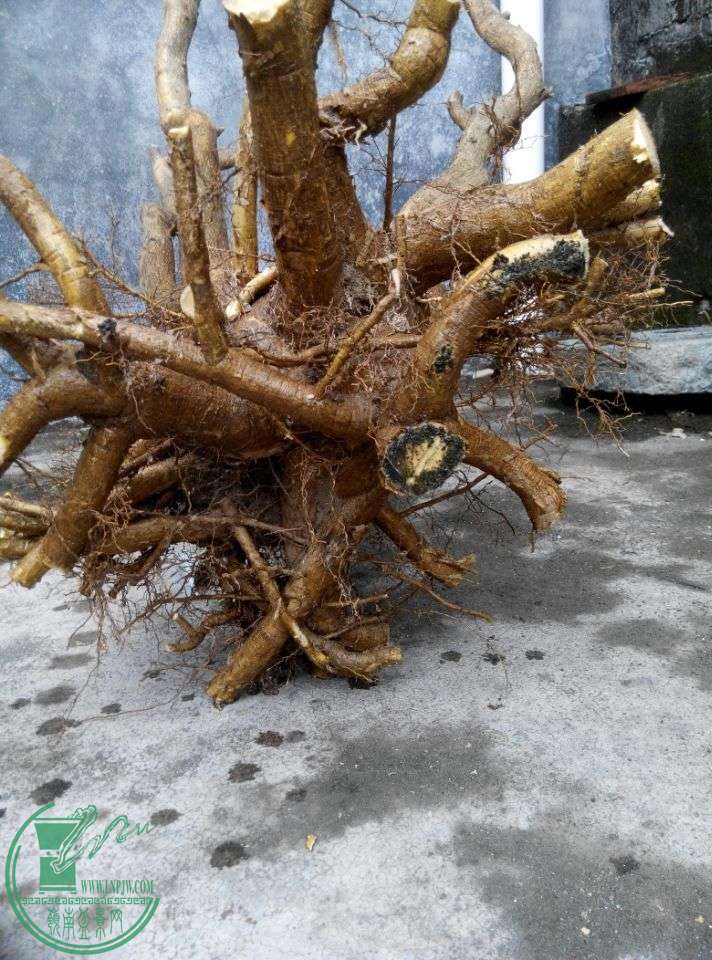QQͼƬ20150224202248.jpg