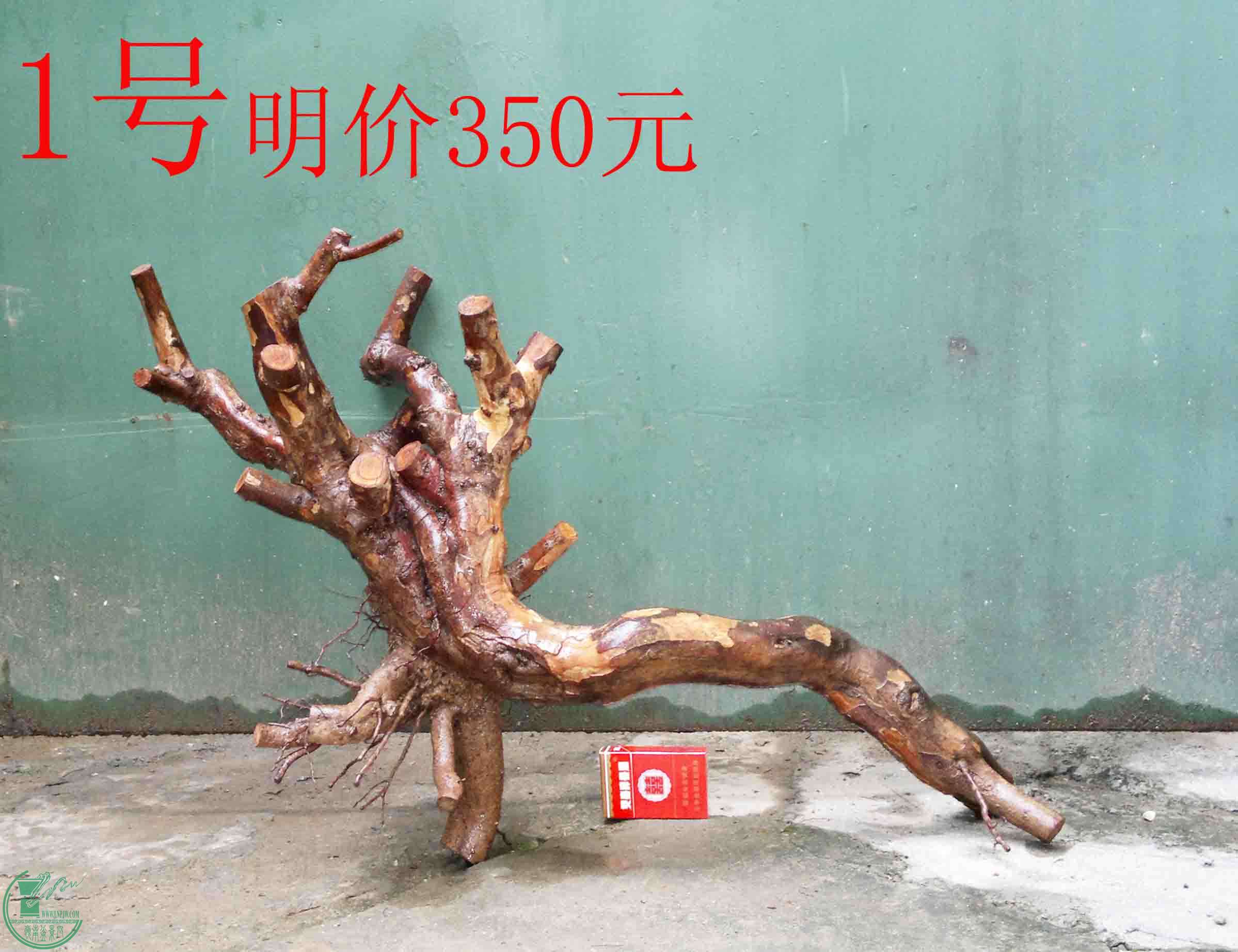 201101282280.jpg