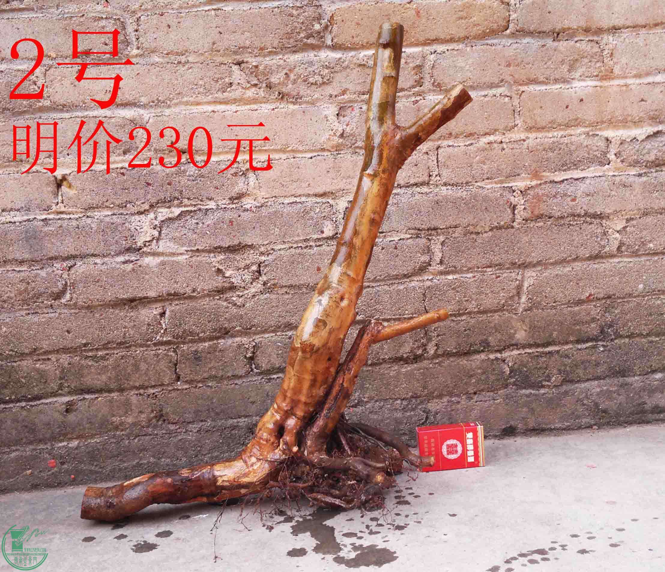 201101292291.jpg