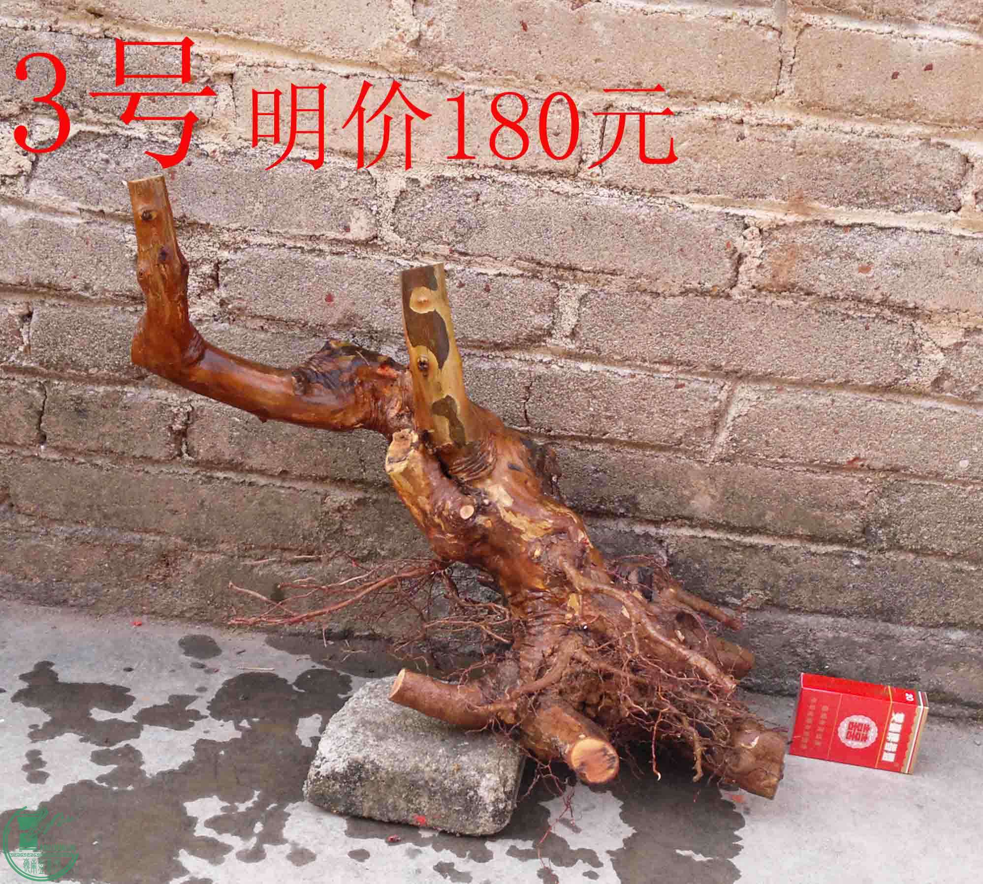 201101292300.jpg
