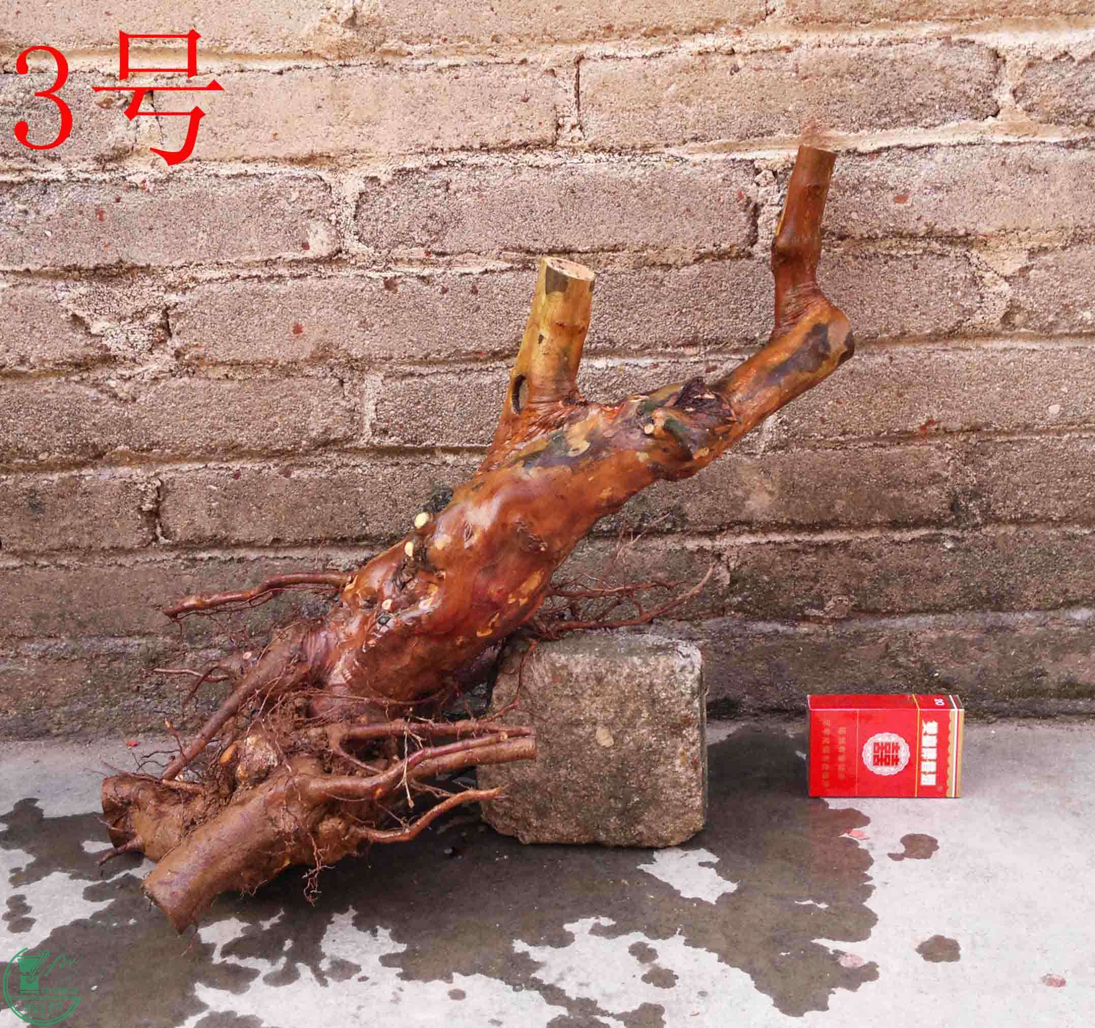 201101292301.jpg